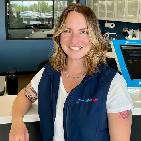 Pba Basketball Betting Odds